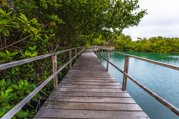 Galapagos Islands - August 24, 2017: Landscape of Lagoon of the Nymphs in Santa Cruz island, Galapagos Islands, Ecuador