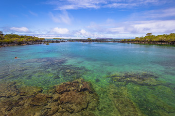 Galapagos Islands - August 25, 2017: Concha Perla Lagoon in Isabela Island, Galapagos Islands, Ecuador