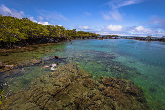 Galapagos Islands - August 25, 2017: Concha Perla Lagoon in Isabela Island, Galapagos Islands, Ecuador