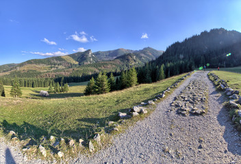 Fototapety na wymiar - Fototapeta24.pl