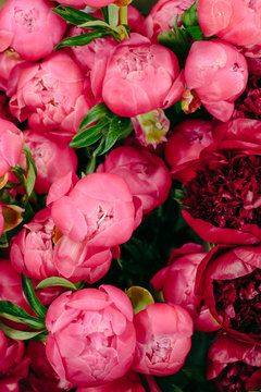 Large arrangement of pink & red peonies.