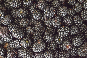 Plate with berries black blackberries