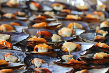 baked mussels with cheese