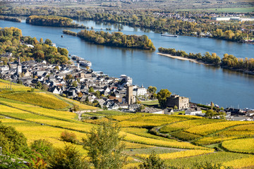 Rüdesheim am Rhein