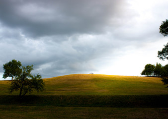 Ideal place to relax and think away from everyone. Nature and you.