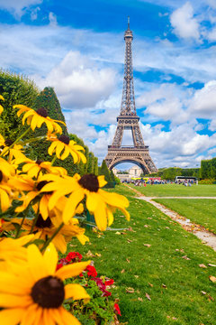 The Eiffel Tower and colorful yellow flowers on a summer day in Paris