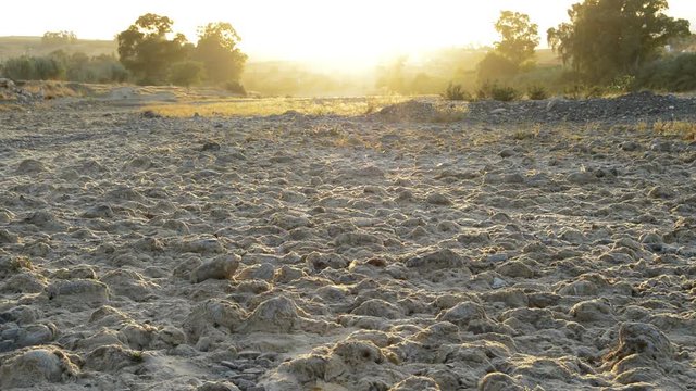 Drought, dry riverbed at sunset