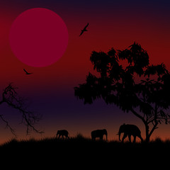 African savanna with silhouette of elephants at red sunset