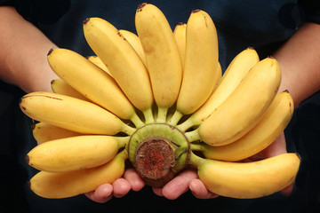 Egg-banana  or Pisang mas is  famous fruit of Thailand.