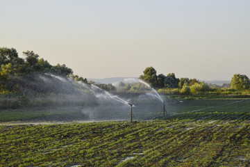 Irrigation system in field of melons. Watering the fields. Sprin