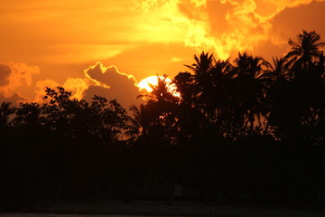 Maldives Sunset