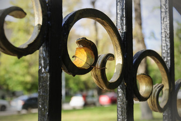 City street with cars and green spaces
