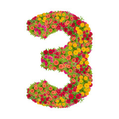 number 3 made from Zinnias flowers isolated on white background.Colorful zinnia flower put together in number three shape with clipping path