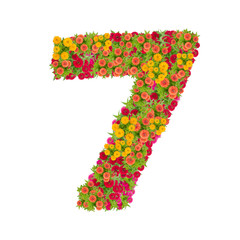 number 7 made from Zinnias flowers isolated on white background.Colorful zinnia flower put together...