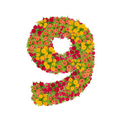 number 9 made from Zinnias flowers isolated on white background.Colorful zinnia flower put together in number two shape with clipping path