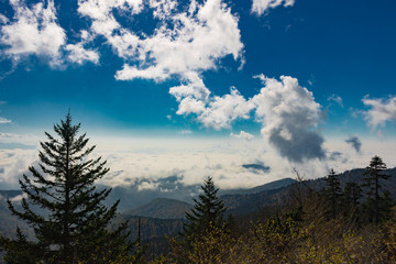 Mountain View Above the Clouds