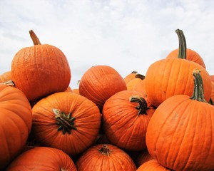 Pumpkins
