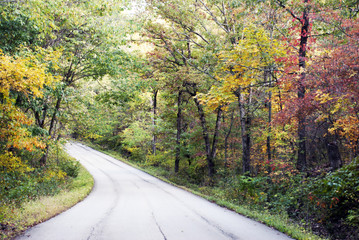 Naklejka premium Into Autumn