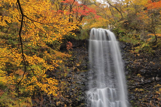 晩秋の玉簾の滝　Late autumn Tamasudarenotaki / Sakata, Yamagata, Japan