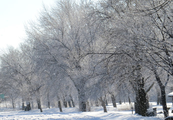 Frost Fallout