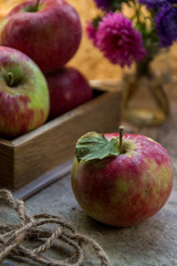 Fresh apples in autumn. Apples with pollen on the skin.