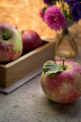 Fresh apples in autumn. Apples with pollen on the skin.