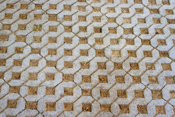 Brick floor with holes and grass