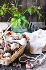 Basket with garlic on a wooden table