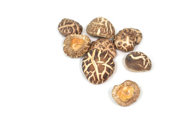 Dry shiitake mushroom on white background - isolated