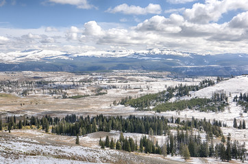 Snow view in Yellowstone National Park