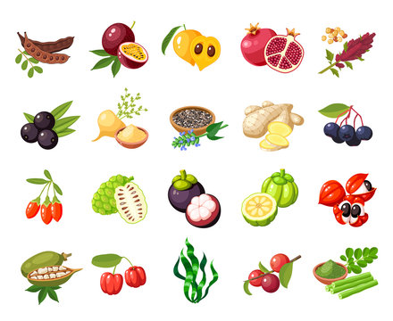 Set of superfood fruit. Vector illustration cartoon flat icon collection isolated on white.