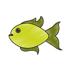 Cute fish cartoon icon vector illustration graphic design