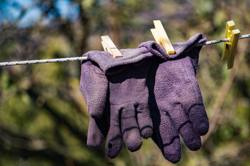 old working gloves on clothespin © Andrea Izzotti