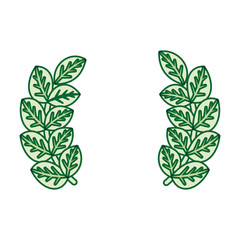 wreath of leaves icon over white background vector illustration