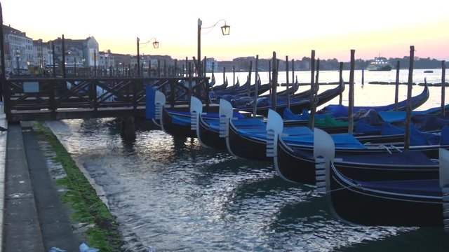 Moored gondolas on the waterfront of San Marco in the early morning. Venice, Italy