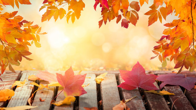 Colorful autumn leaves in sunny day background, wooden table, fallen leaves