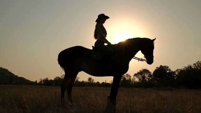 Silhouette of a woman riding a horse in the background sunset or sunrise in the field, slow motion.