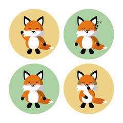 Cute fox icons icon vector illustration graphic design