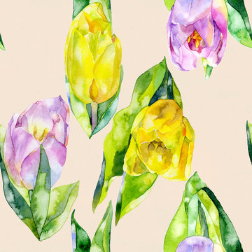 Yellow, beautiful, garden, decorative tulip. Spring, summer, feminine, first, purple flower. A fragrant, fresh, beautiful flora. Watercolor. Illustration