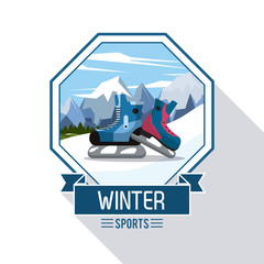 Winter extreme sports icon vector illustration graphic design