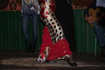 Flamenco