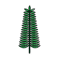 christmas leaf natural decoration ornament foliage