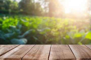 Agriculture background table or desk is empty for present product.