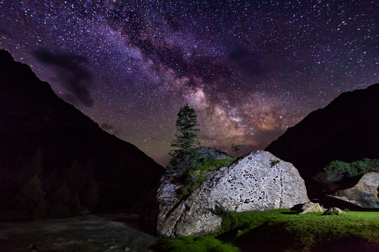 Starry night in the mountains. Lonely tree on a rock