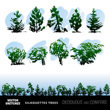 Set of vector silhouettes of trees