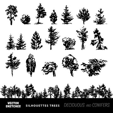 Set of vector silhouettes of trees