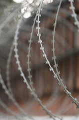 barbed wire fencing