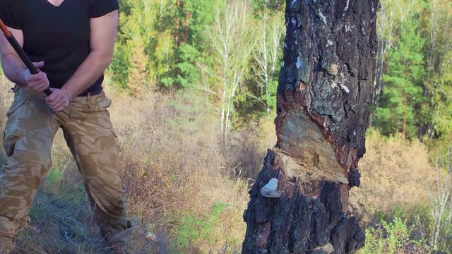 Detail of lumber jack chopping firewood with an axe for winter time. Close up of woodcutter splits wood, rural scene. Preparation logs for cold wintertime in high definition