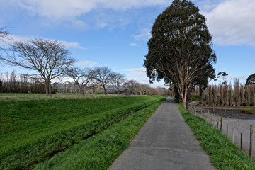 A walkway through a park in Palmerston North New Zealand