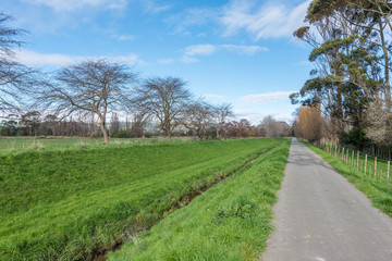 Fototapeta na wymiar A walkway through a park in Palmerston North New Zealand